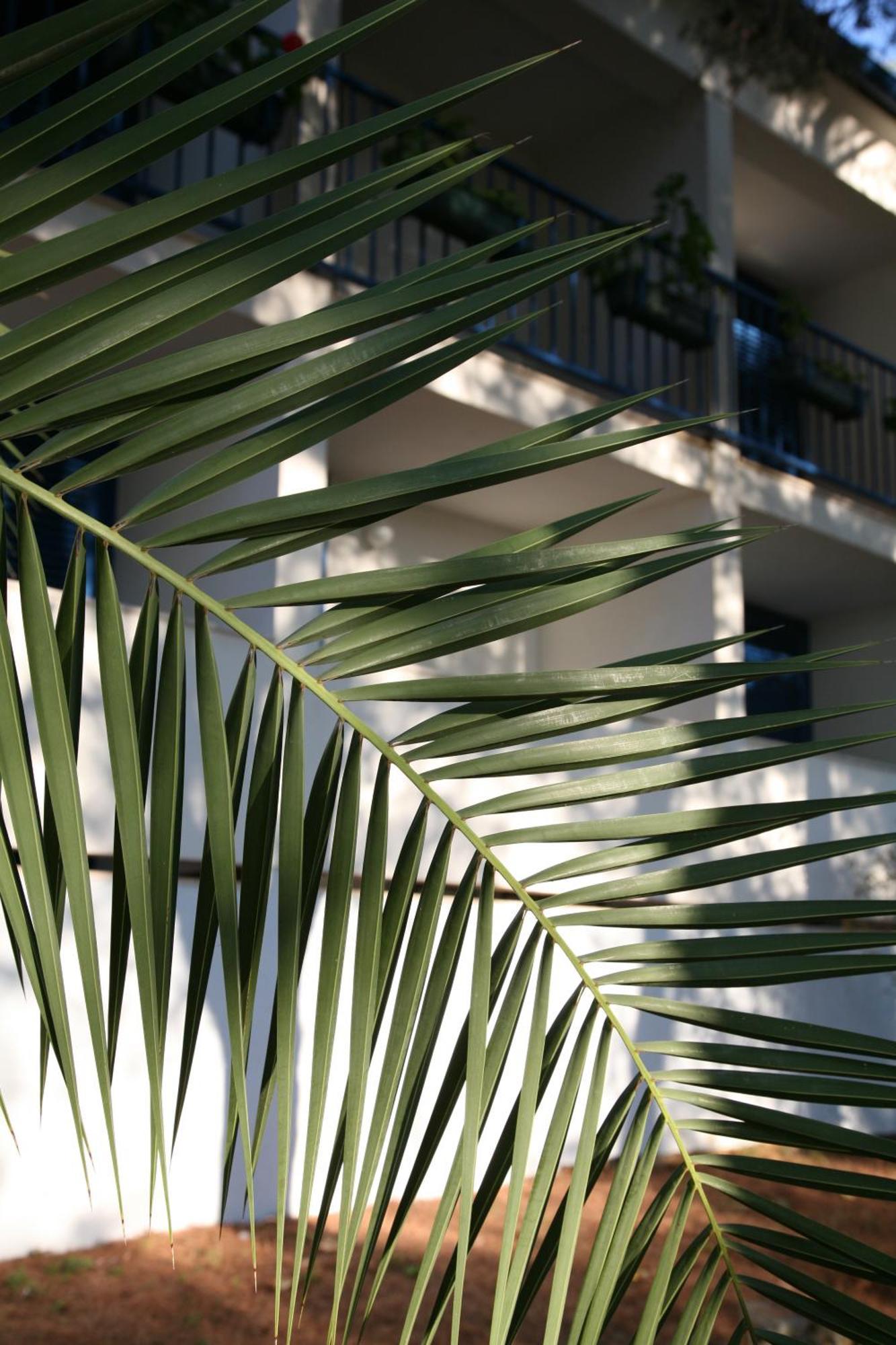 Hotel Sali Exterior photo